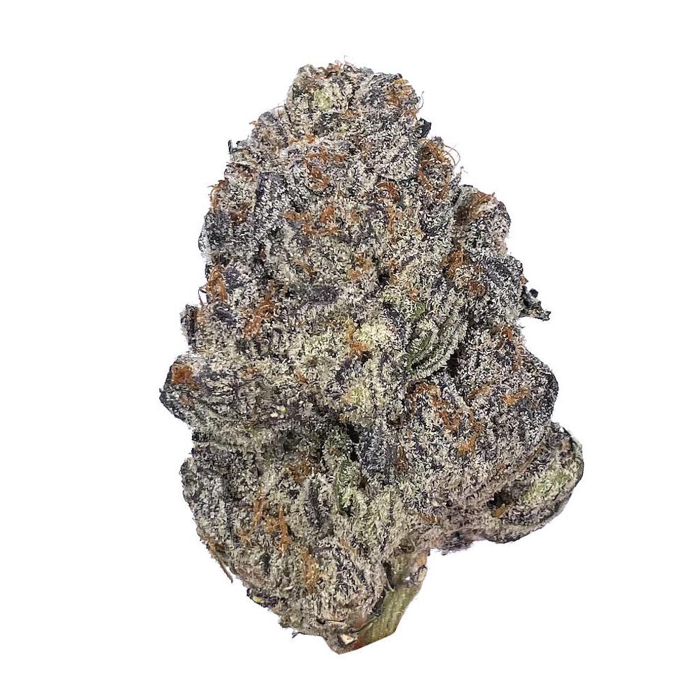 icc-strain
