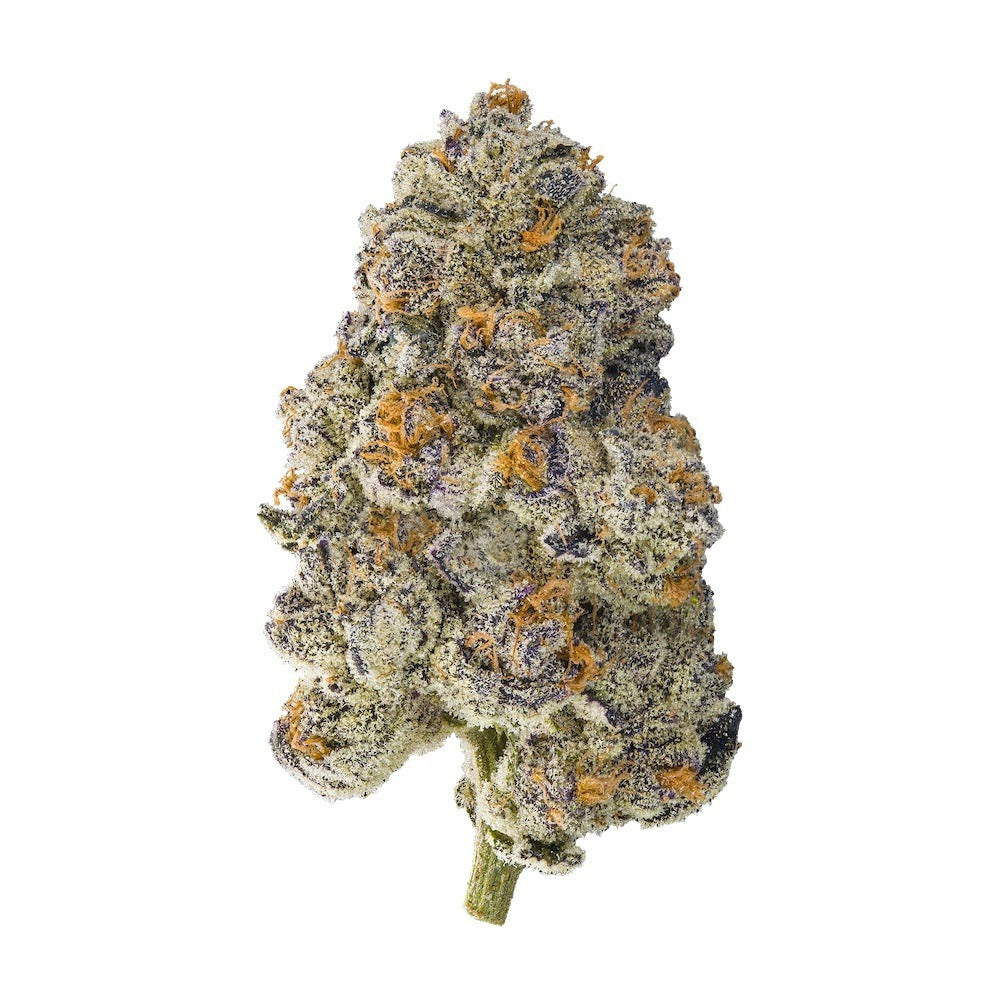 thca flower pounds, thca flower pound