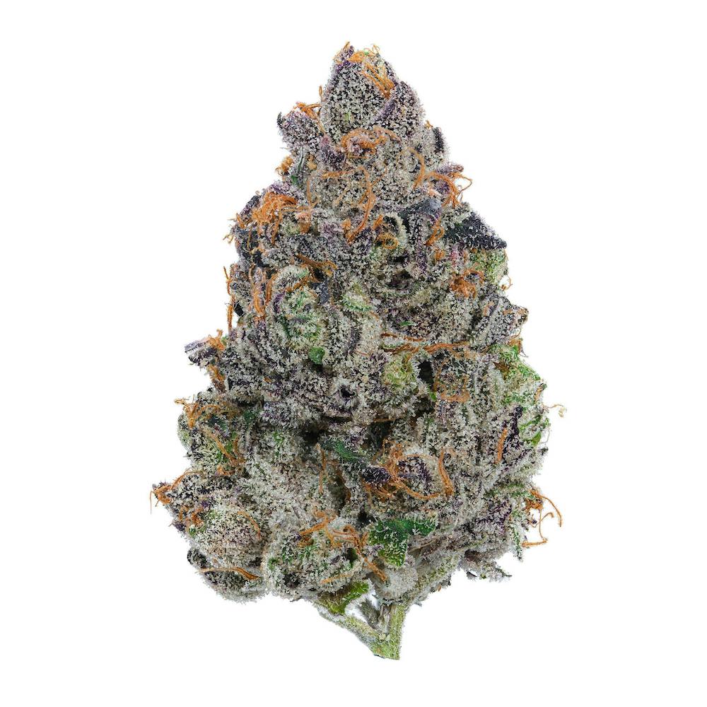 gorilla glue 2024 thca flower clearance