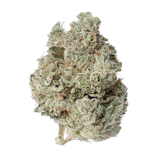white fire og strain wifi og thca flowers strain flower