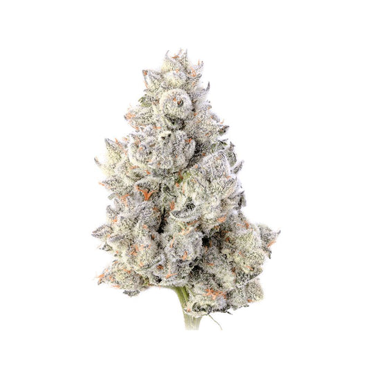 The Best Exotic Indoor AAA+ THCA Flower Online